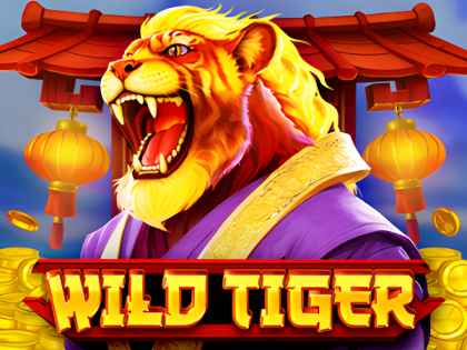 Jeu Wild Tiger au casino 1win Maroc